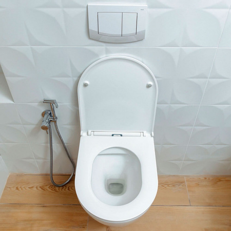 Унитаз подвесной ALKORA ENCANTO безободковый, сиденье легкосъемное тонкое, дюропласт, микролифт