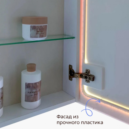 Шкаф зеркальный ПРАКТИК 100 с подсветкой (1000х800х125мм)