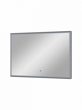 Зеркало СТЕЙДЖ/Stage 1000х700мм(LED-подсв., бесконт.сенс.выкл., ХОЛОД подсв, рама ал СПЕКТРУМ СЕРЫЙ)