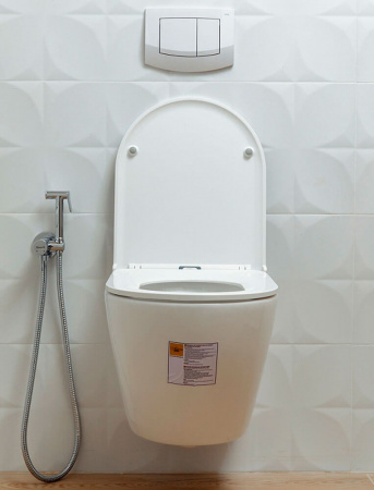 Унитаз подвесной ALKORA ENCANTO безободковый, сиденье легкосъемное тонкое, дюропласт, микролифт