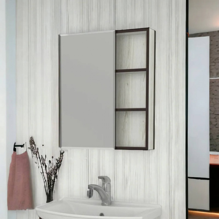 Шкаф зеркальный ВИНТЕР 55 (550х700х210мм)